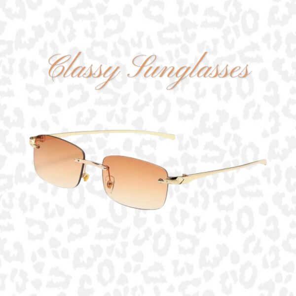 Classy Sunglasses