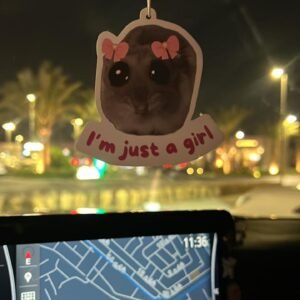 I'm just a girl