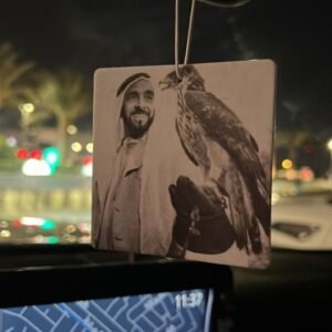 الشيخ زايد بن سلطان